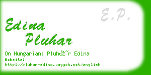 edina pluhar business card